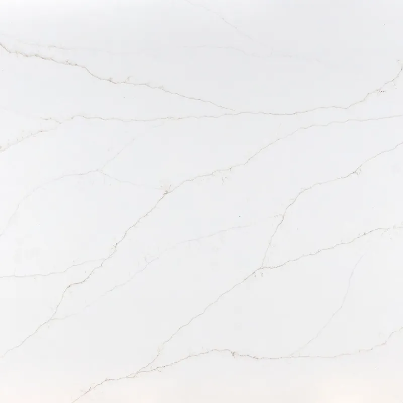 Delicato-full (1) (1) Floor | GMD Surfaces